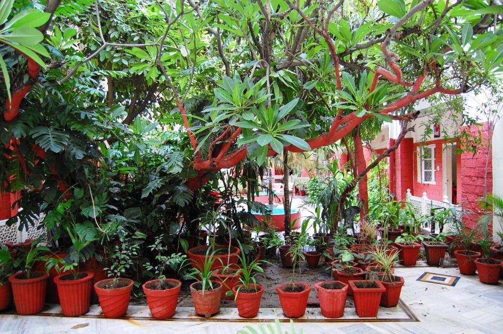Hotel Tourist Rest House Agra Exterior foto