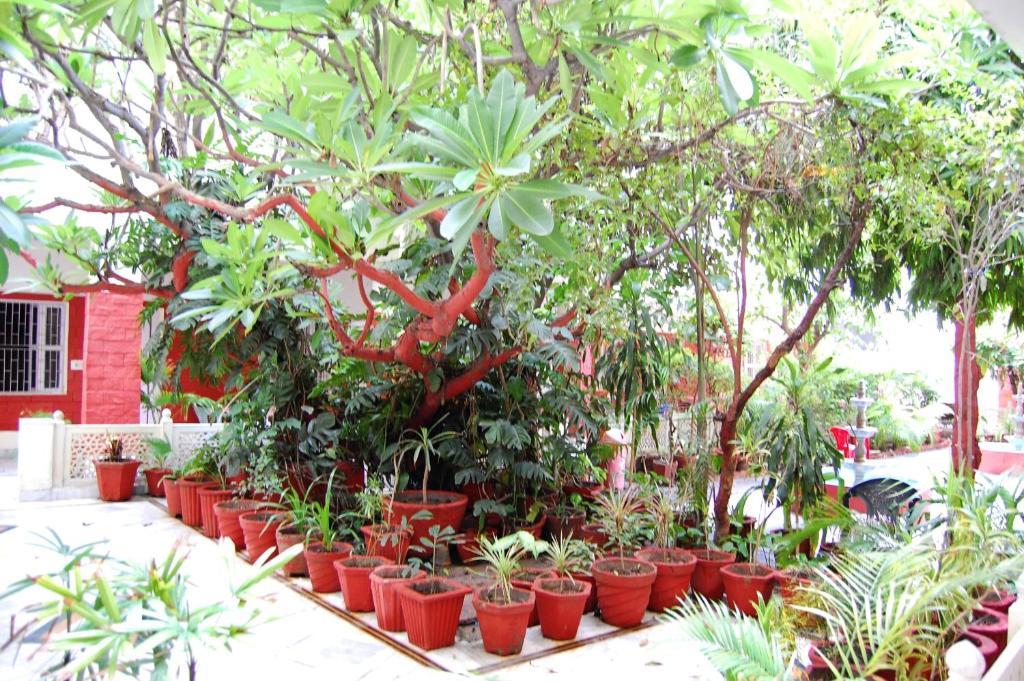 Hotel Tourist Rest House Agra Exterior foto